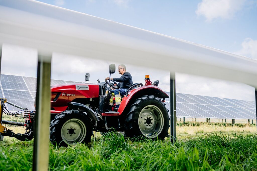 Co ile kosić farmy fotowoltaiczne?